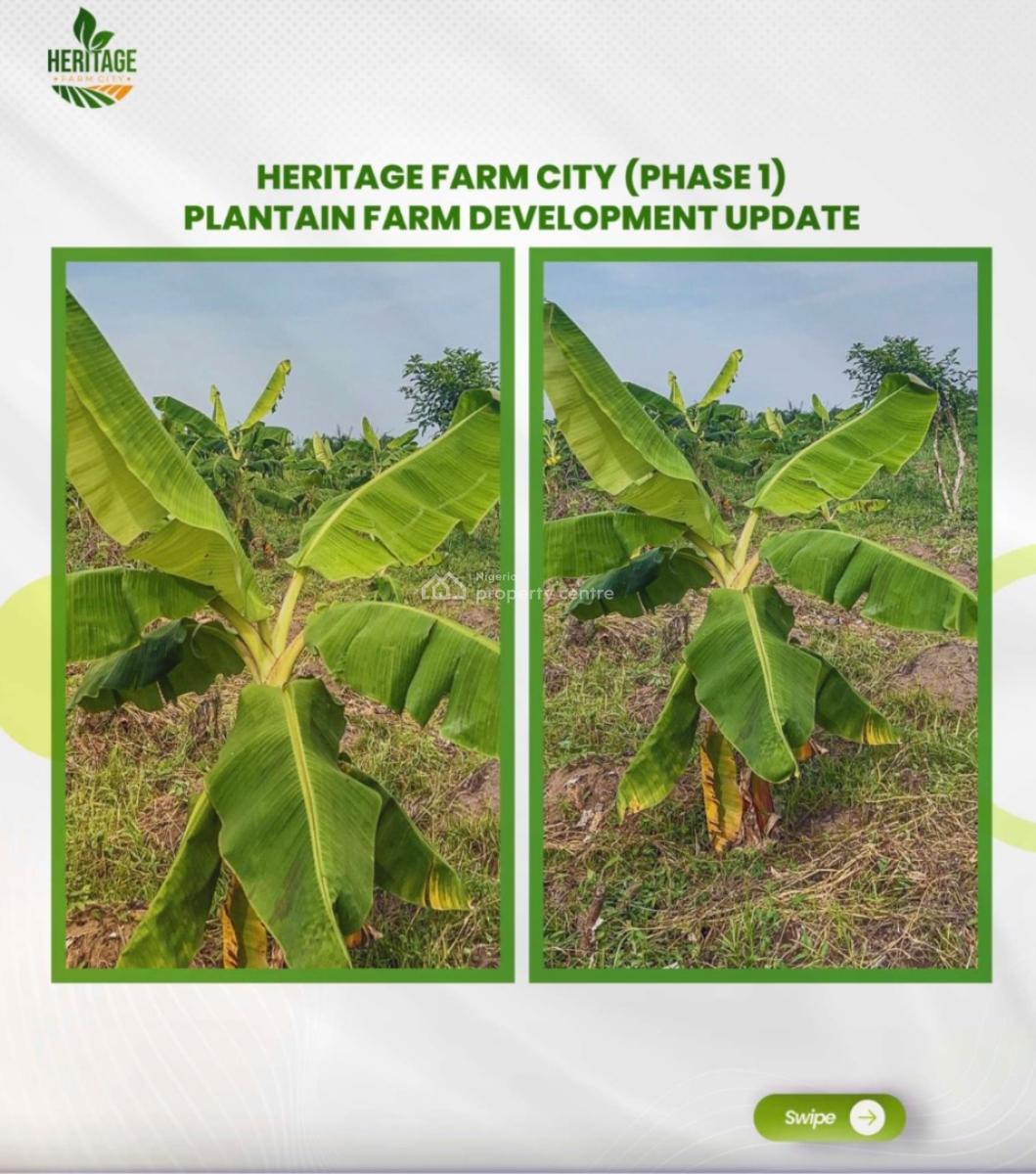 Farmland, Abeokuta North, Ogun, Mixed-use Land for Sale