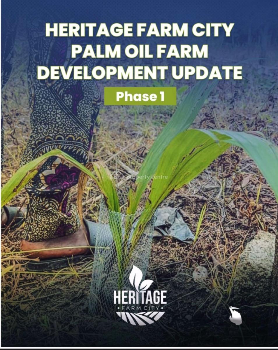 Farmland, Abeokuta North, Ogun, Mixed-use Land for Sale