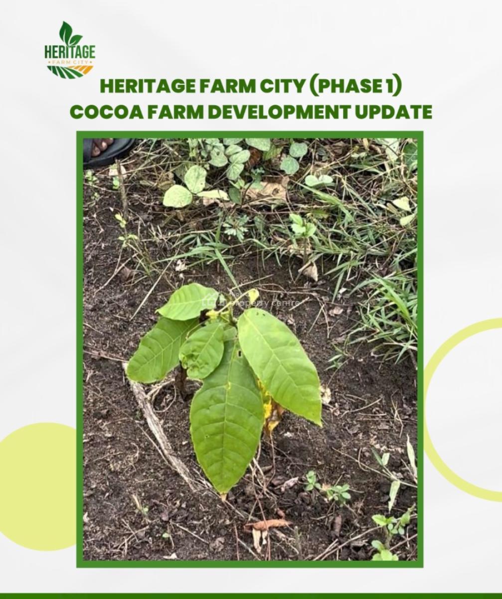 Farmland, Abeokuta North, Ogun, Mixed-use Land for Sale