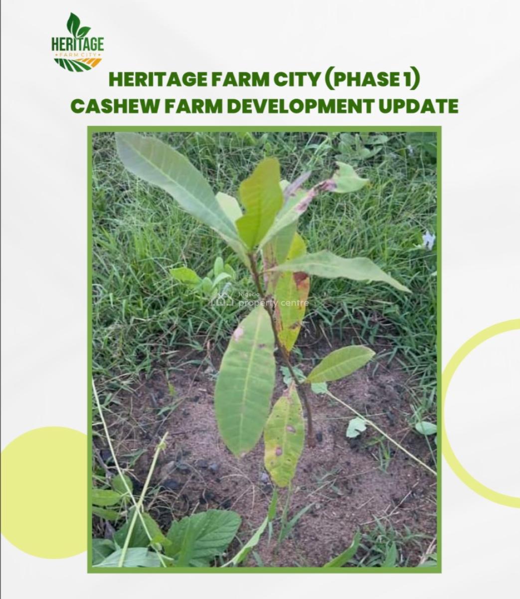 Farmland, Abeokuta North, Ogun, Mixed-use Land for Sale