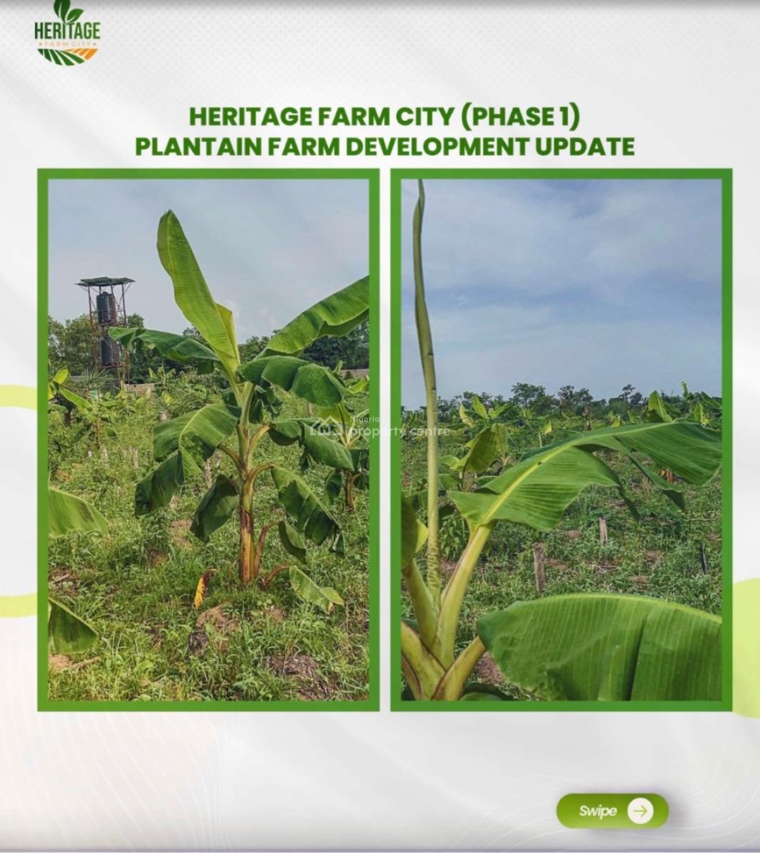 Grow Your Own Food and Earn From Agriculture. Start with 500k Deposit, Earn From Crops of Your Choice Like Cocoa, Plaintain , Oilpalm, Cashew, Abeokuta South, Ogun, Mixed-use Land for Sale