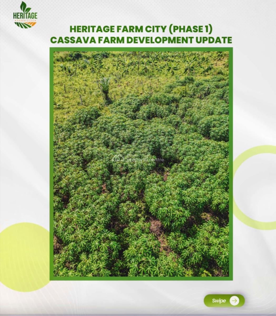 Grow Your Own Food and Earn From Agriculture. Start with 500k Deposit, Earn From Crops of Your Choice Like Cocoa, Plaintain , Oilpalm, Cashew, Abeokuta South, Ogun, Mixed-use Land for Sale