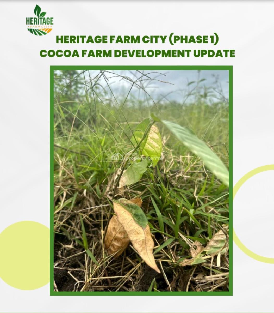 Grow Your Own Food and Earn From Agriculture. Start with 500k Deposit, Earn From Crops of Your Choice Like Cocoa, Plaintain , Oilpalm, Cashew, Abeokuta South, Ogun, Mixed-use Land for Sale