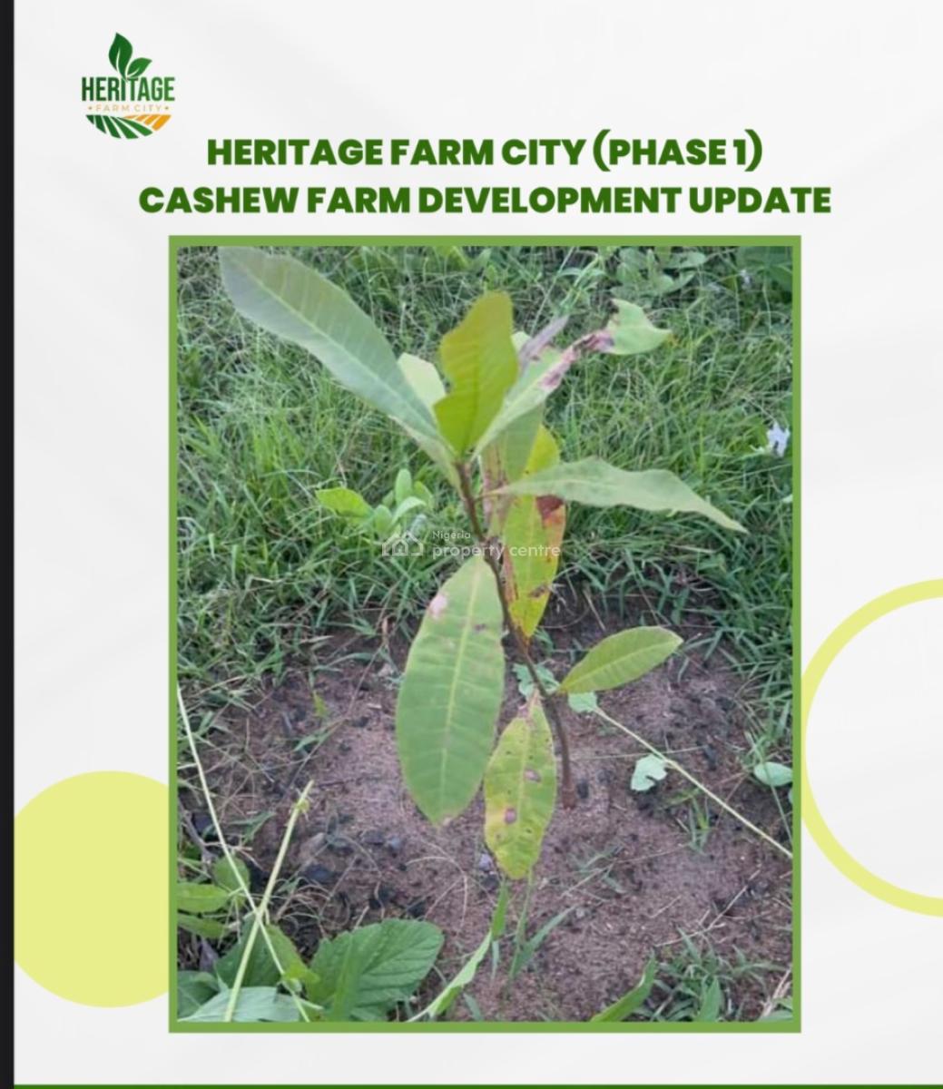 Grow Your Own Food and Earn From Agriculture. Start with 500k Deposit, Earn From Crops of Your Choice Like Cocoa, Plaintain , Oilpalm, Cashew, Abeokuta South, Ogun, Mixed-use Land for Sale