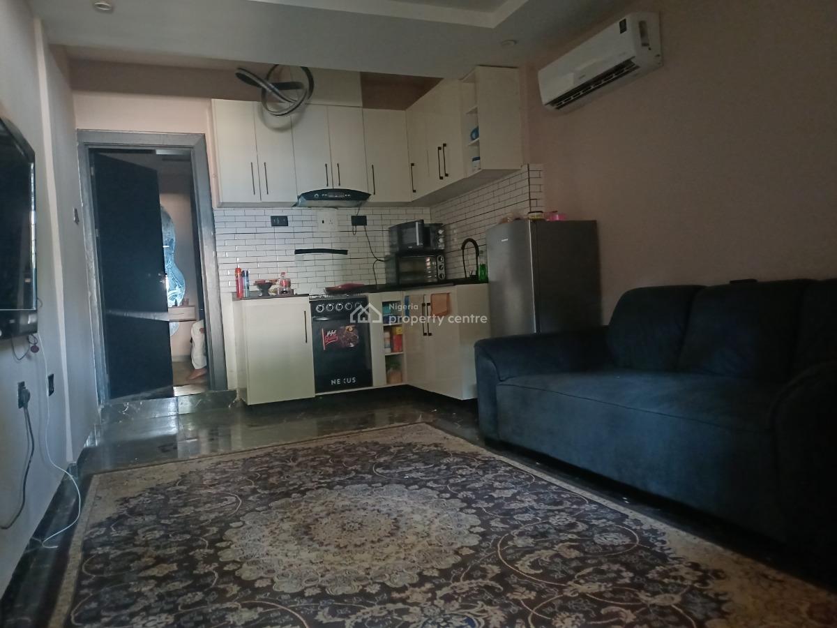 Lovely Furnished 1 Bedroom Flat on The Ground Floor, Wuye, Abuja, Mini Flat (room and Parlour) for Rent