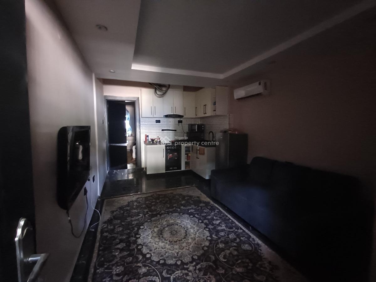 Lovely Furnished 1 Bedroom Flat on The Ground Floor, Wuye, Abuja, Mini Flat (room and Parlour) for Rent