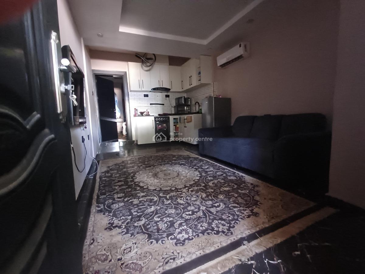 Lovely Furnished 1 Bedroom Flat on The Ground Floor, Wuye, Abuja, Mini Flat (room and Parlour) for Rent