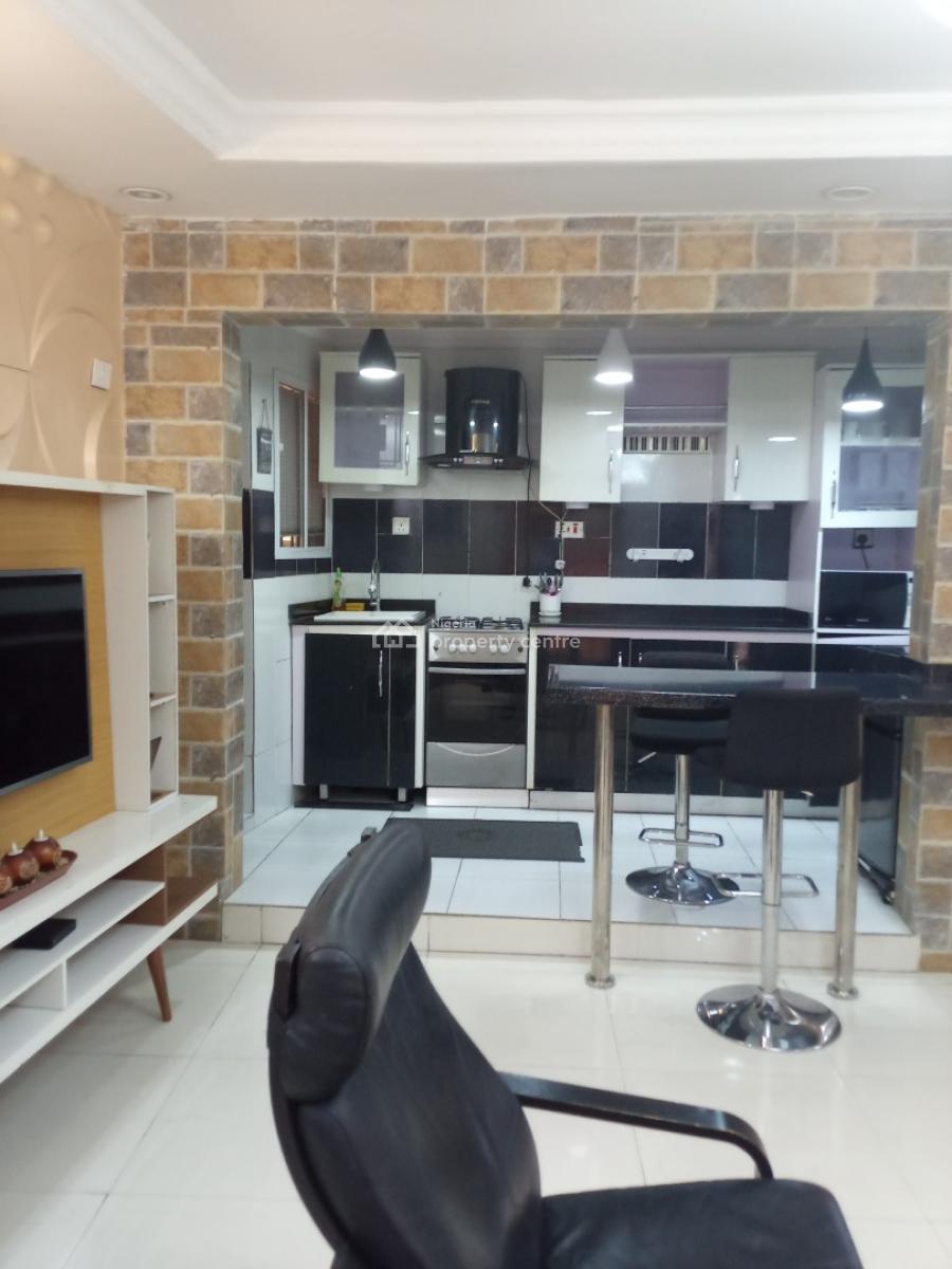 Standard Spacious Fully Furnished Miniflat with Modern Finishing, Surulere, Lagos, Mini Flat (room and Parlour) for Rent