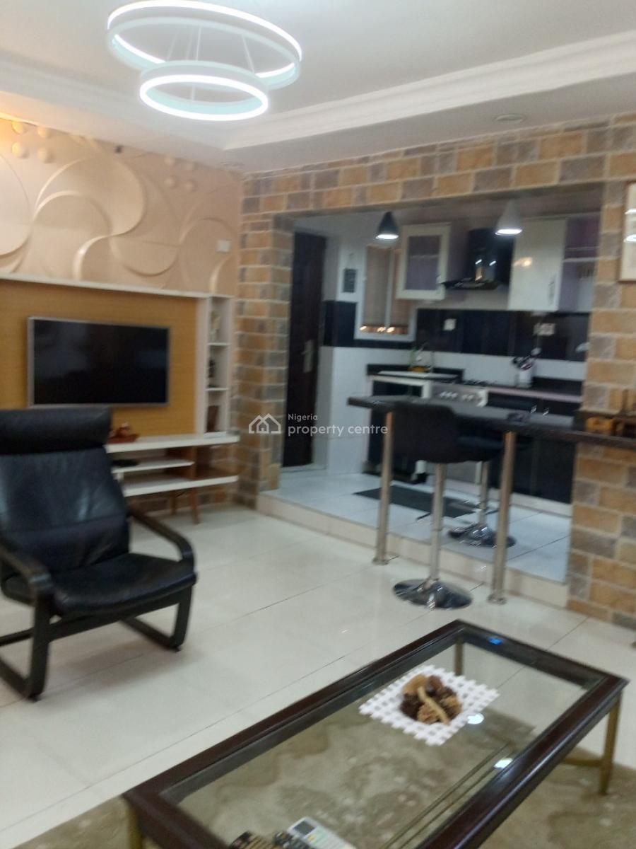 Standard Spacious Fully Furnished Miniflat with Modern Finishing, Surulere, Lagos, Mini Flat (room and Parlour) for Rent