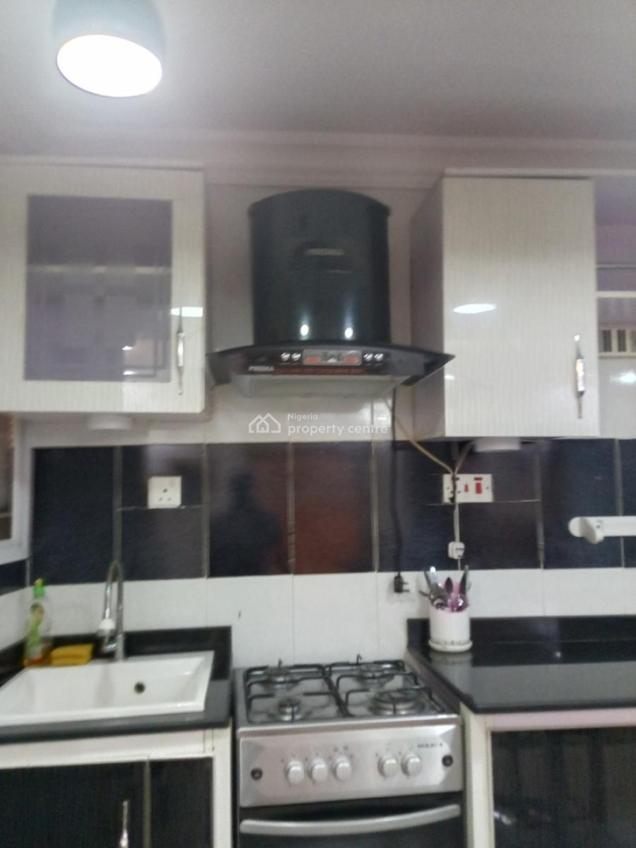 Standard Spacious Fully Furnished Miniflat with Modern Finishing, Surulere, Lagos, Mini Flat (room and Parlour) for Rent