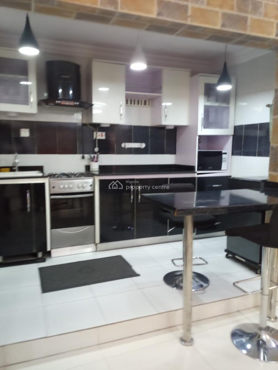 Standard Spacious Fully Furnished Miniflat with Modern Finishing, Surulere, Lagos, Mini Flat (room and Parlour) for Rent