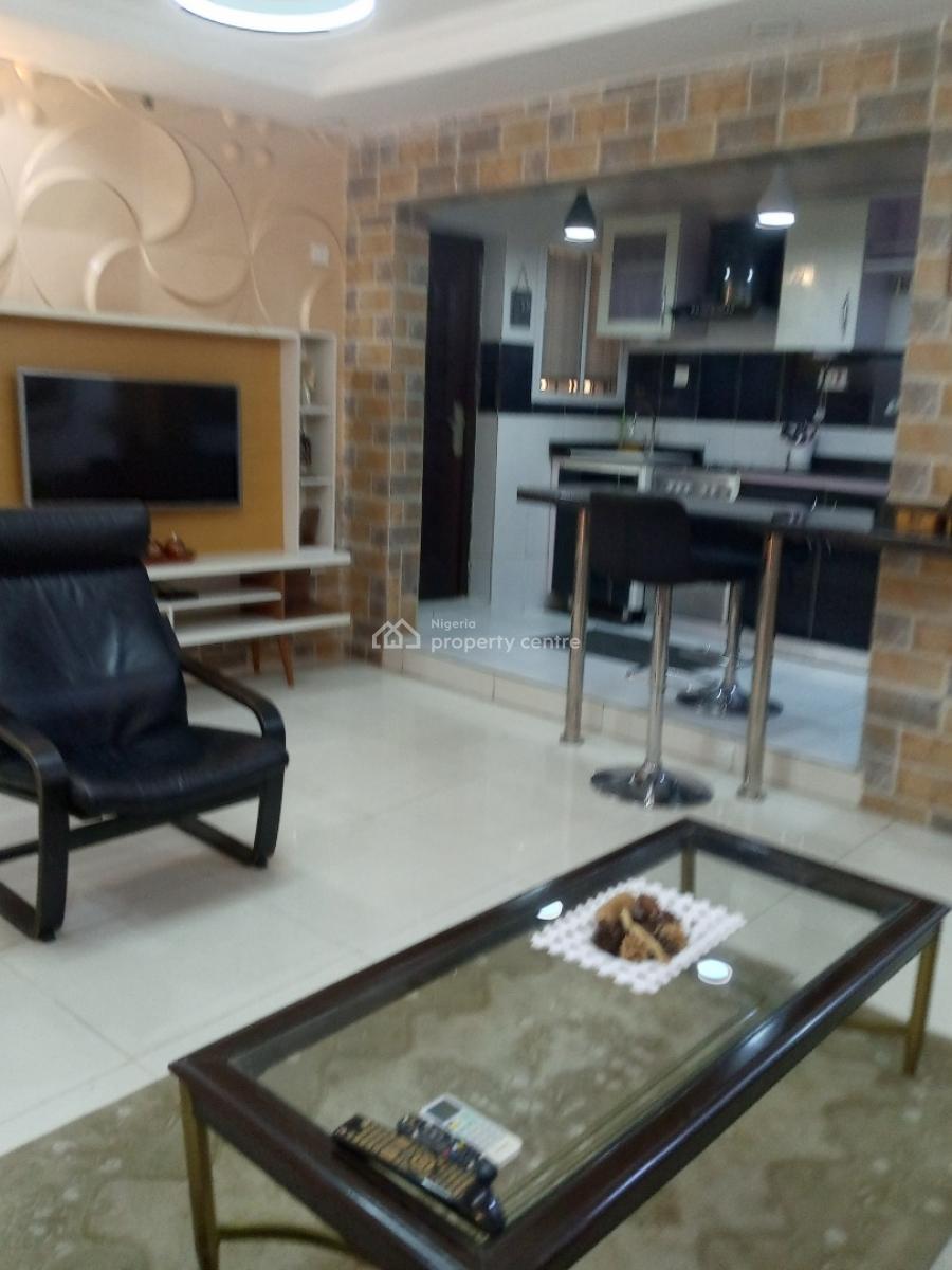 Standard Spacious Fully Furnished Miniflat with Modern Finishing, Surulere, Lagos, Mini Flat (room and Parlour) for Rent
