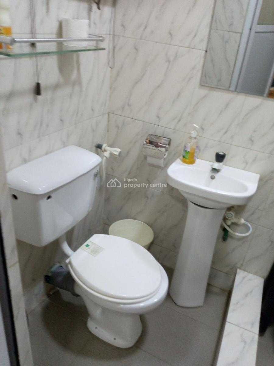 Standard Spacious Fully Furnished Miniflat with Modern Finishing, Surulere, Lagos, Mini Flat (room and Parlour) for Rent