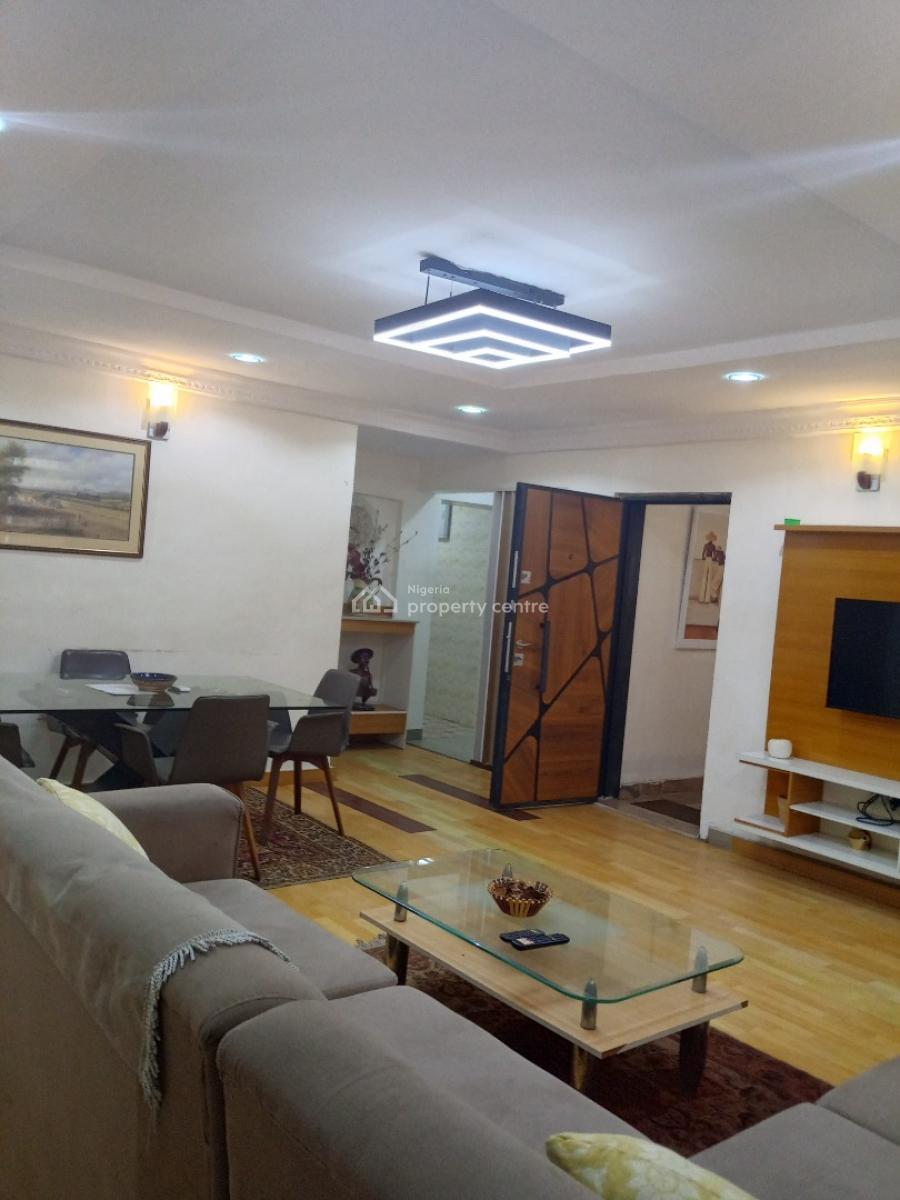 Spacious Fully Furnished 2 Bedroom  Flat with Bq with Modern Finishing, Surulere, Lagos, Flat / Apartment for Rent