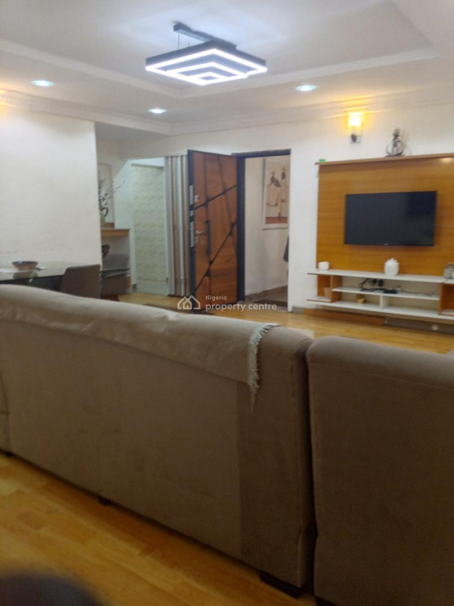 Spacious Fully Furnished 2 Bedroom  Flat with Bq with Modern Finishing, Surulere, Lagos, Flat / Apartment for Rent