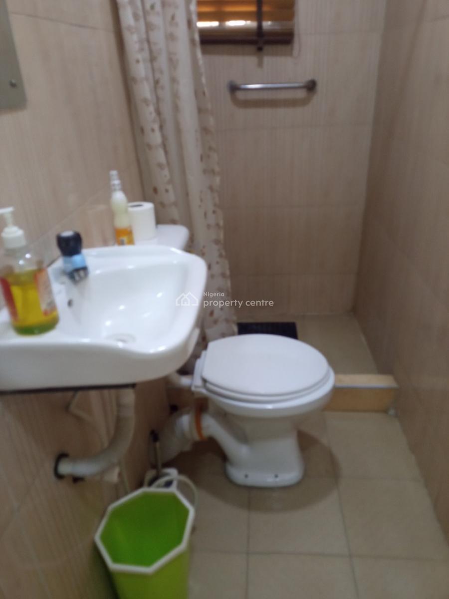 Spacious Fully Furnished 2 Bedroom  Flat with Bq with Modern Finishing, Surulere, Lagos, Flat / Apartment for Rent