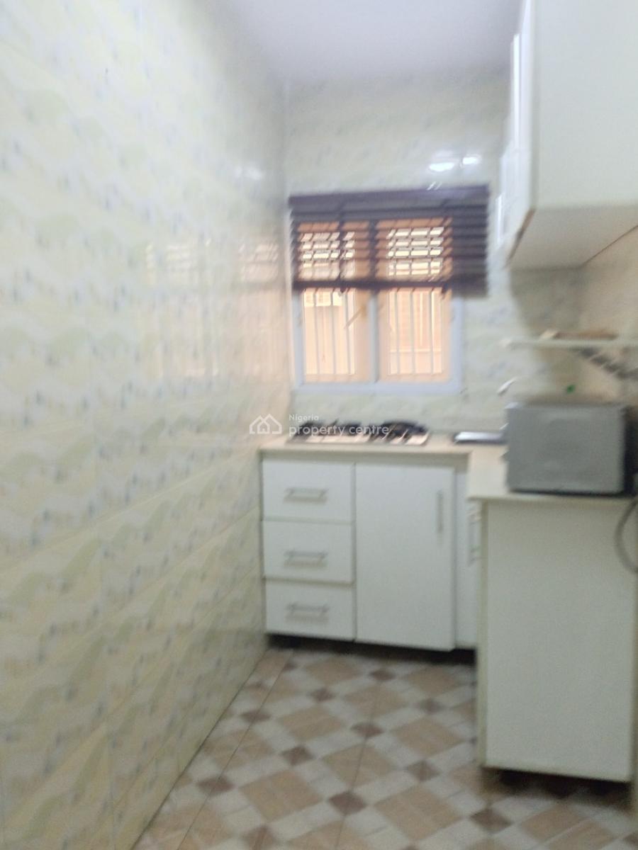 Spacious Fully Furnished 2 Bedroom  Flat with Bq with Modern Finishing, Surulere, Lagos, Flat / Apartment for Rent