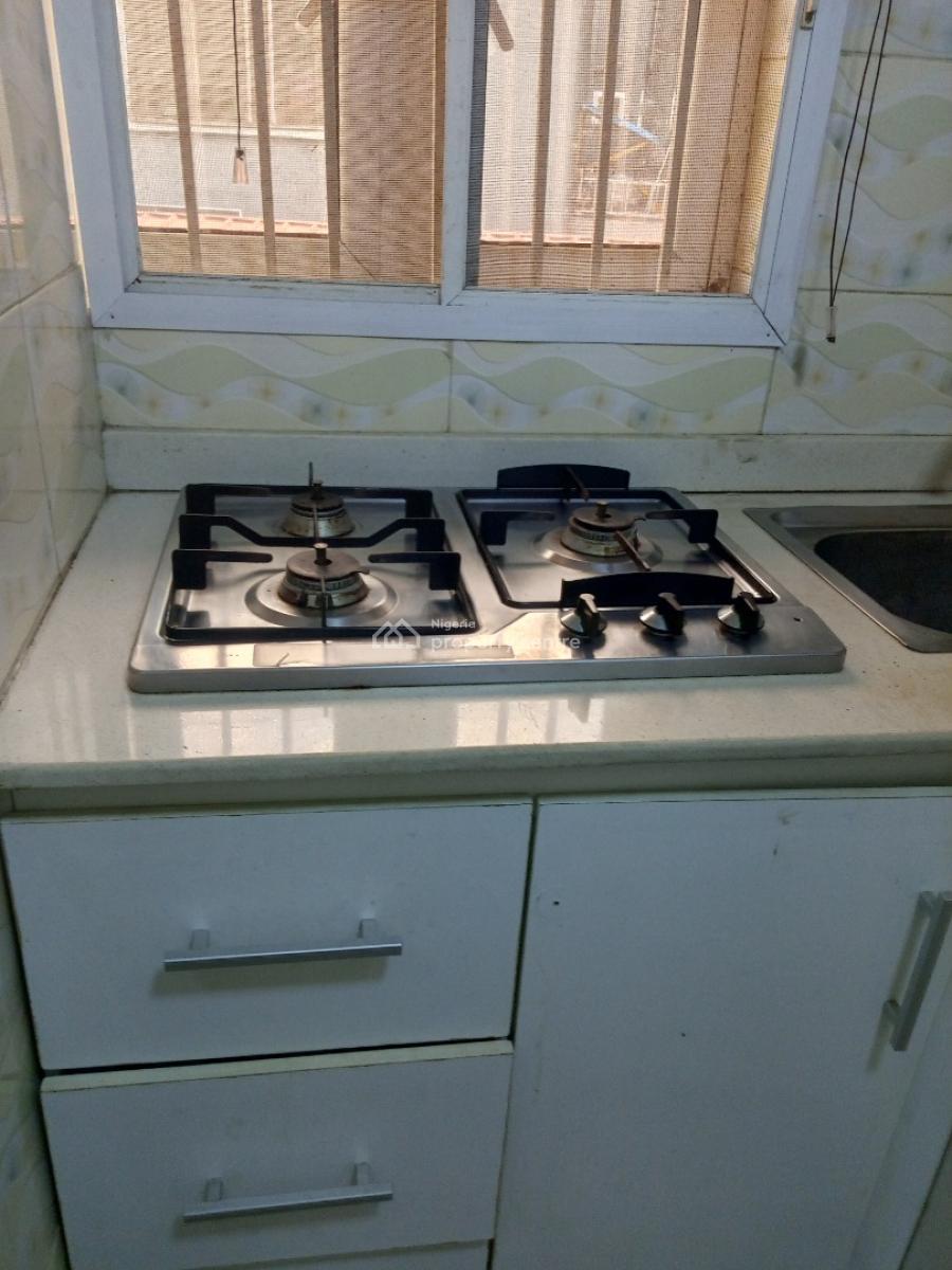 Spacious Fully Furnished 2 Bedroom  Flat with Bq with Modern Finishing, Surulere, Lagos, Flat / Apartment for Rent