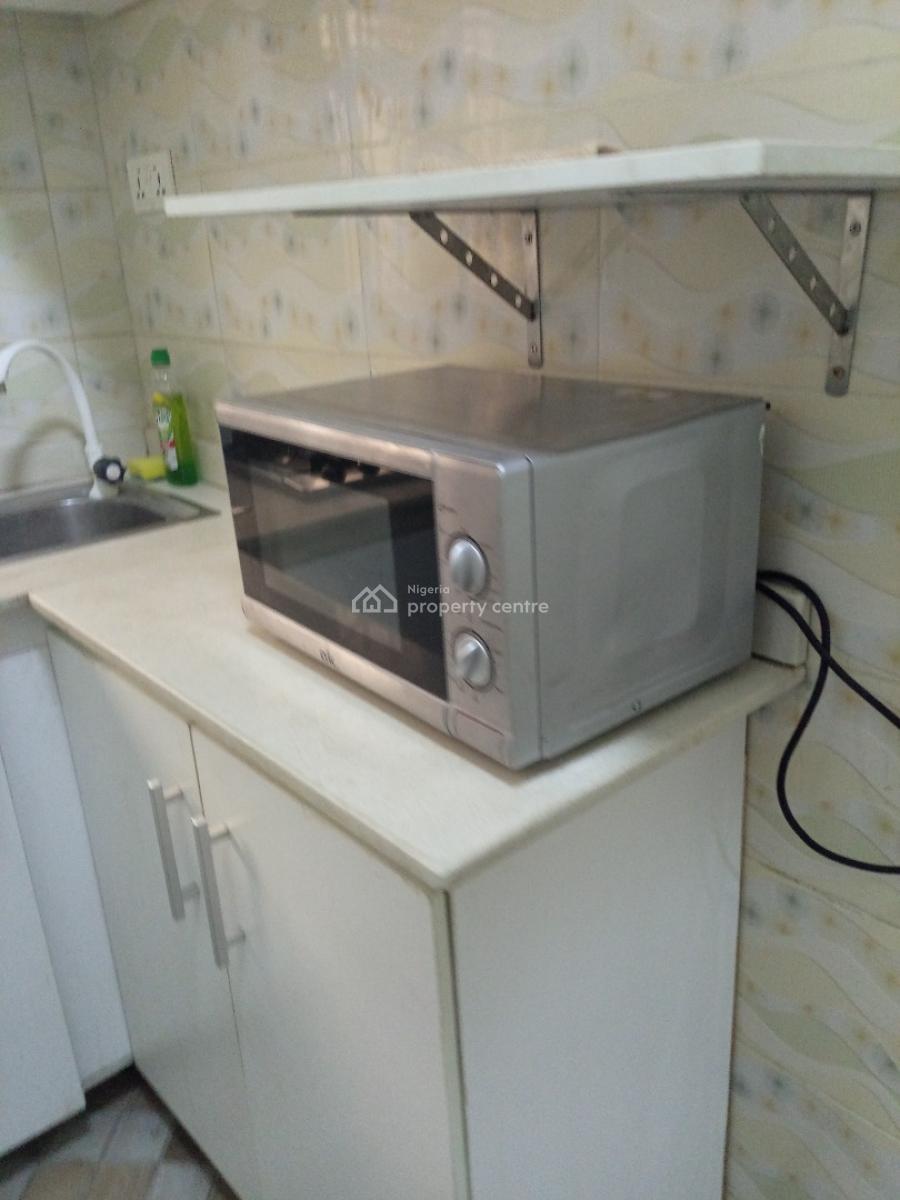 Spacious Fully Furnished 2 Bedroom  Flat with Bq with Modern Finishing, Surulere, Lagos, Flat / Apartment for Rent