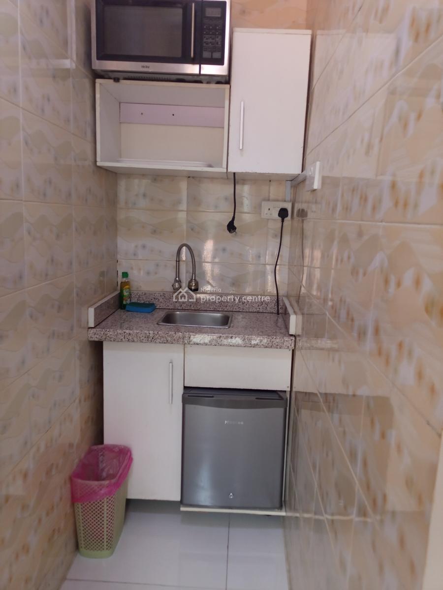Spacious Fully Furnished 2 Bedroom  Flat with Bq with Modern Finishing, Surulere, Lagos, Flat / Apartment for Rent