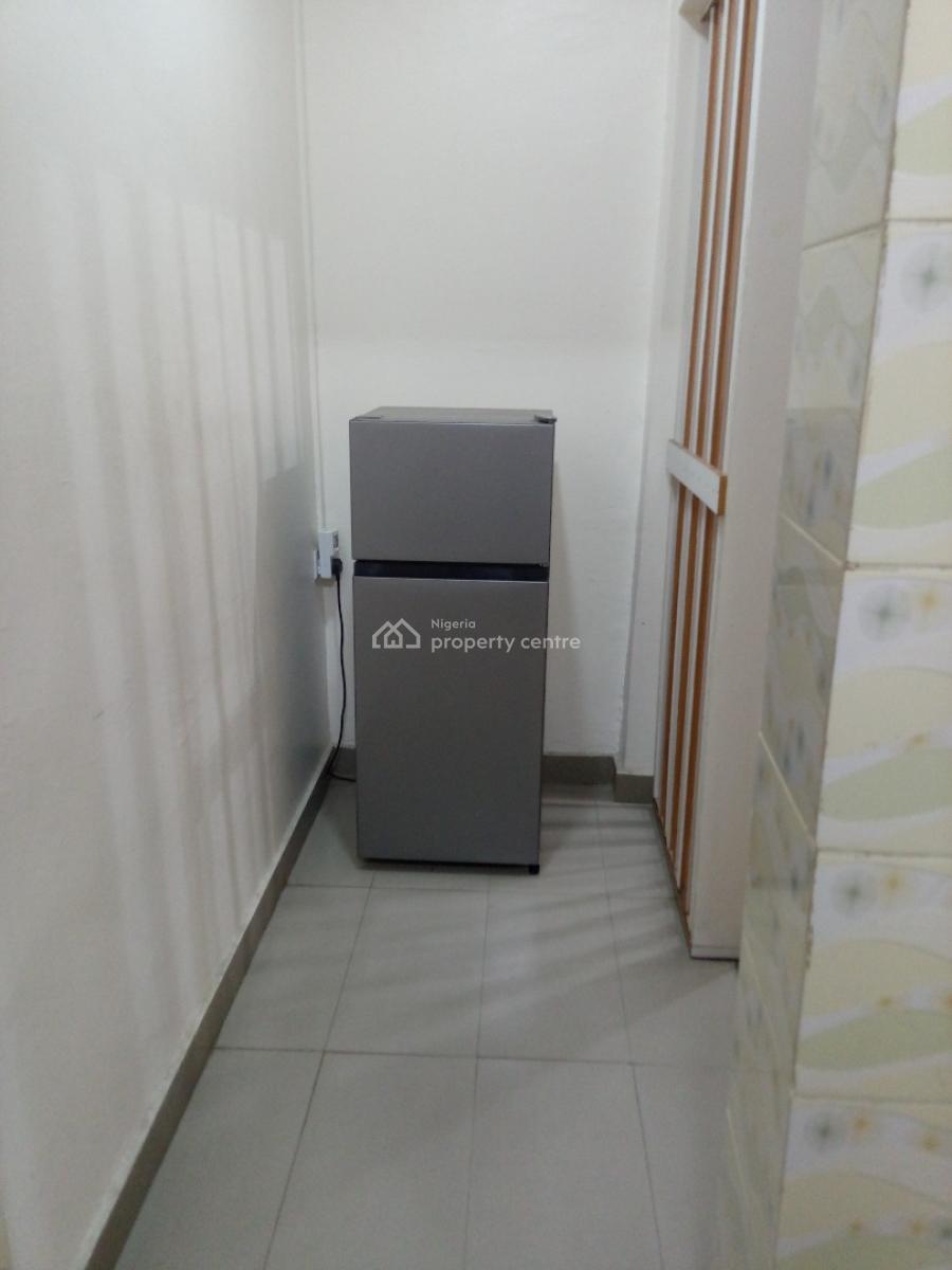 Spacious Fully Furnished 2 Bedroom  Flat with Bq with Modern Finishing, Surulere, Lagos, Flat / Apartment for Rent