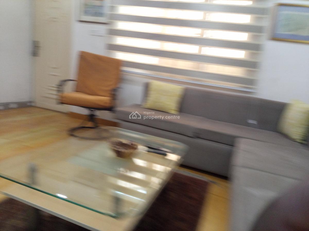 Spacious Fully Furnished 2 Bedroom  Flat with Bq with Modern Finishing, Surulere, Lagos, Flat / Apartment for Rent