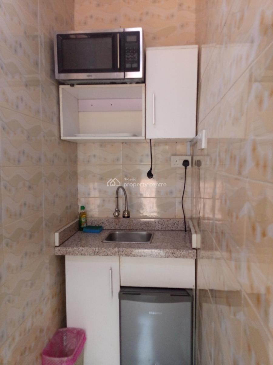 Spacious Fully Furnished 2 Bedroom  Flat with Bq with Modern Finishing, Surulere, Lagos, Flat / Apartment for Rent