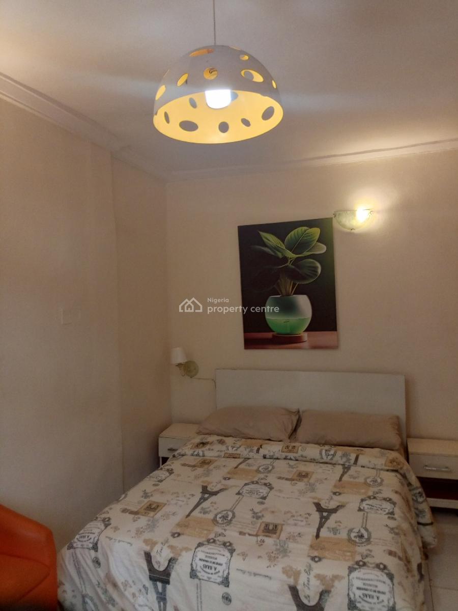 Spacious Fully Furnished 2 Bedroom  Flat with Bq with Modern Finishing, Surulere, Lagos, Flat / Apartment for Rent