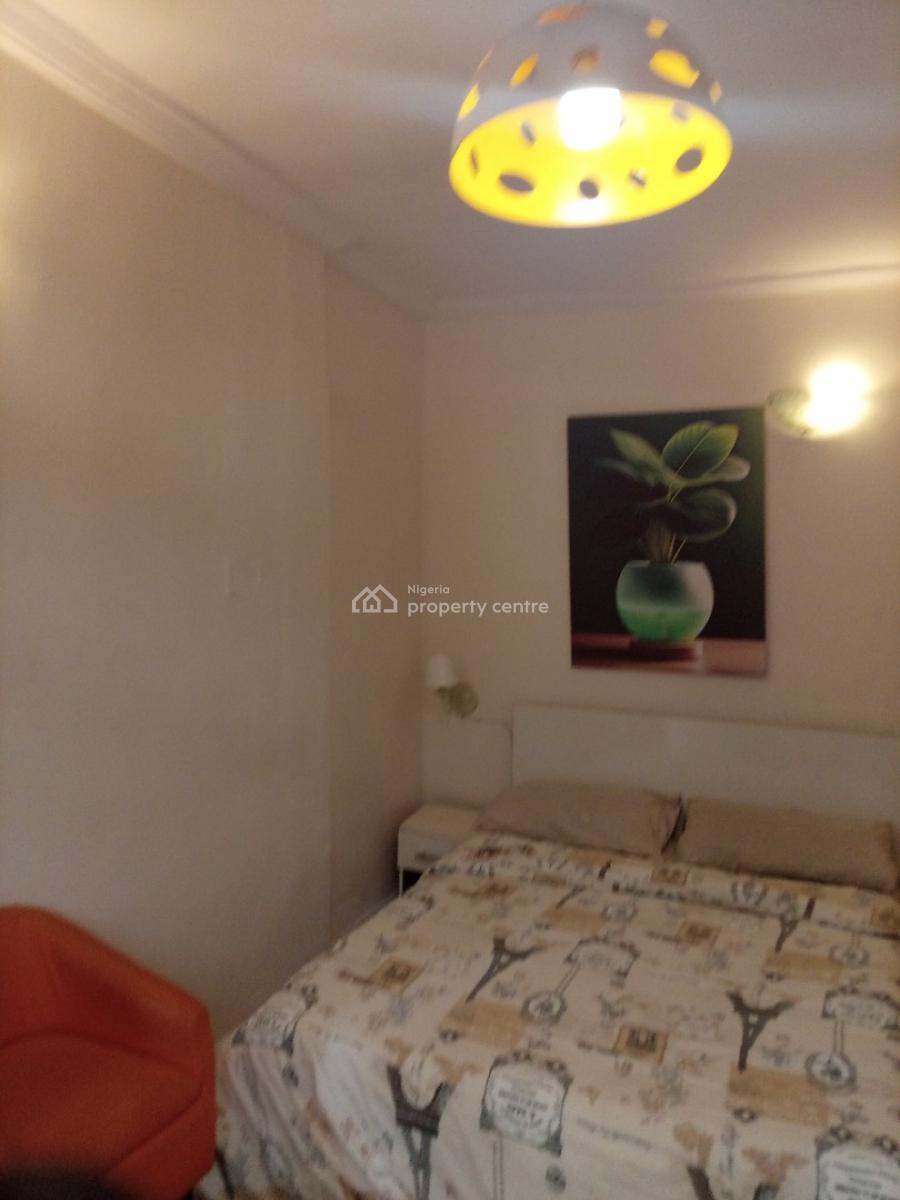 Spacious Fully Furnished 2 Bedroom  Flat with Bq with Modern Finishing, Surulere, Lagos, Flat / Apartment for Rent