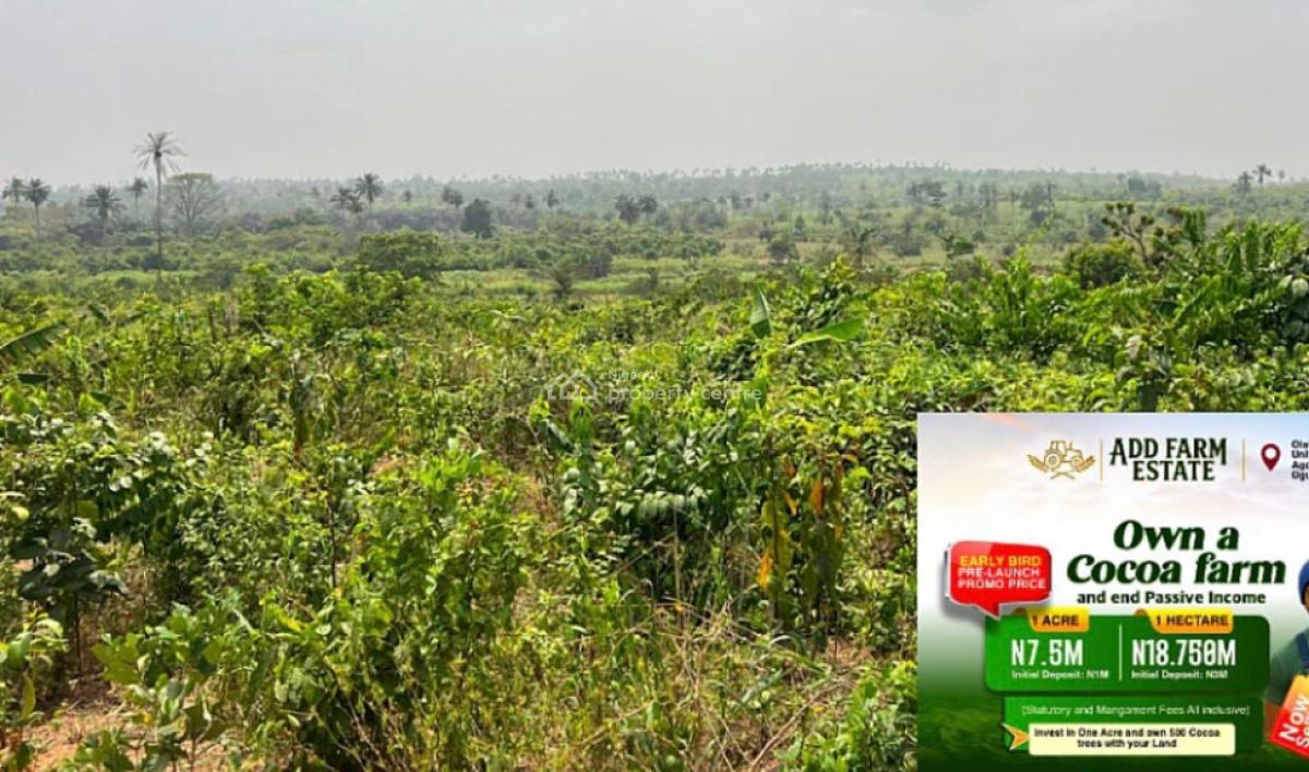 Farmland with Cocoa Plantation, Along Oou Road, Ago Iwoye, Ijebu East, Ogun, Land for Sale