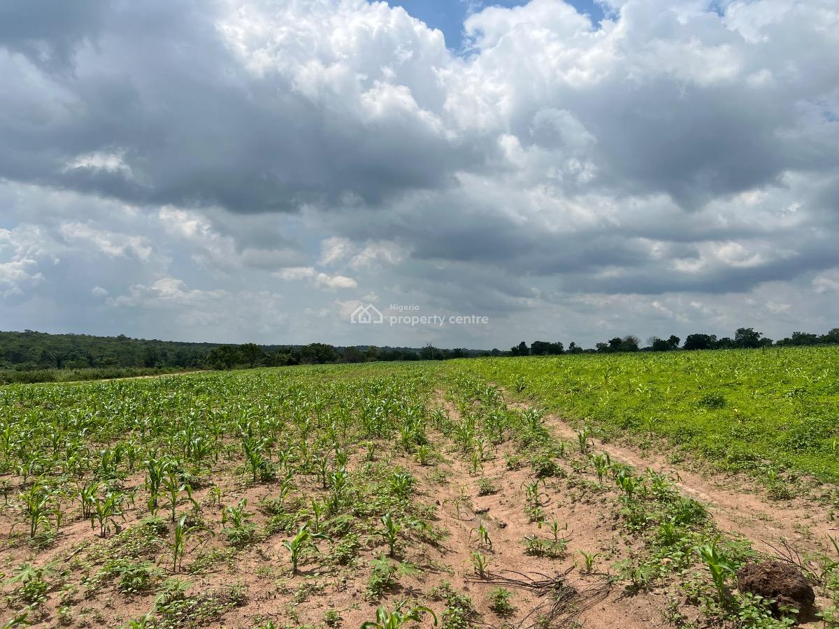 Own a Fertile Farmland with a Free Planting and Free Cultivation Offer, All Inclusive Package with Free Planting & Free Cultivation Cost, Abeokuta North, Ogun, Mixed-use Land for Sale