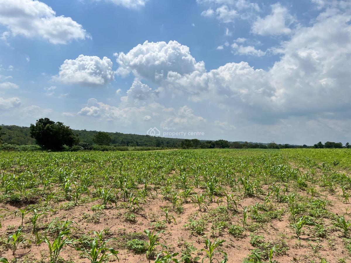 Own a Fertile Farmland with a Free Planting and Free Cultivation Offer, All Inclusive Package with Free Planting & Free Cultivation Cost, Abeokuta North, Ogun, Mixed-use Land for Sale