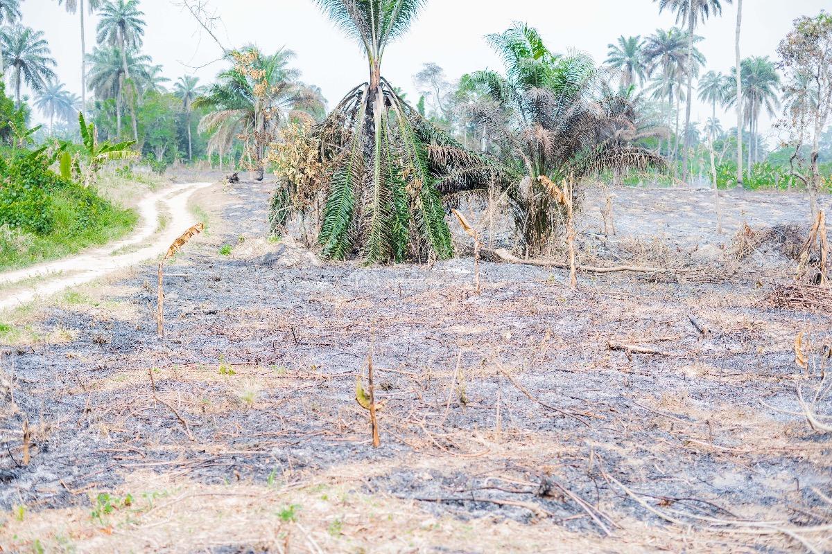 Affordable Plots of Mixed-use Land, Bethel Ridge Estate, Ibefun, Ikorodu Epe Express Way, Ijebu East, Ogun, Mixed-use Land for Sale