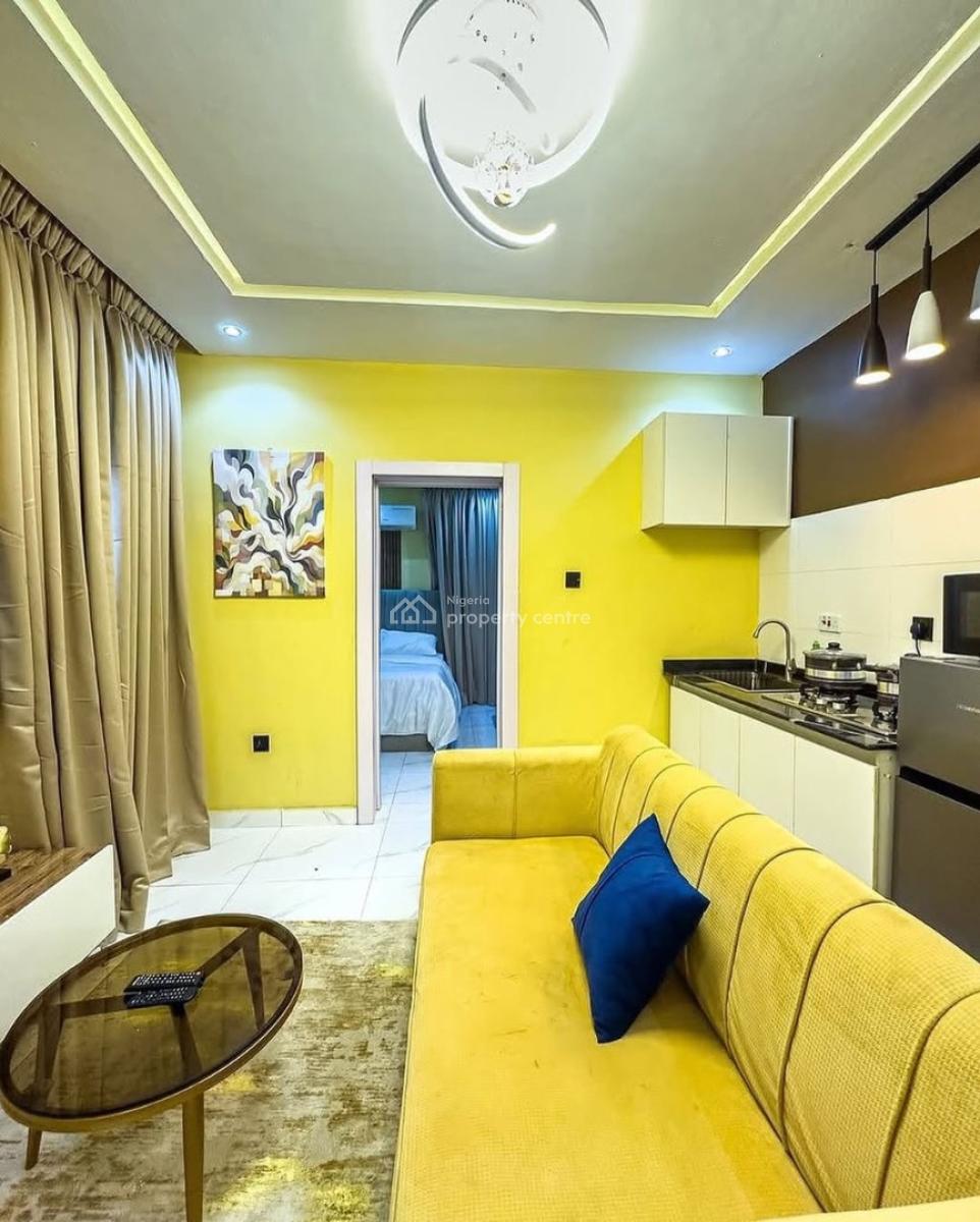 Excellent One Bedroom Apartment, Surulere, Surulere, Lagos, Mini Flat (room and Parlour) Short Let