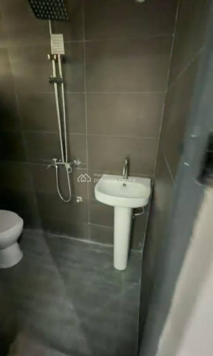 Newly Built, Spacious Standard Two Bedroom Apartment, Idi Araba, Surulere, Lagos, Flat / Apartment for Rent