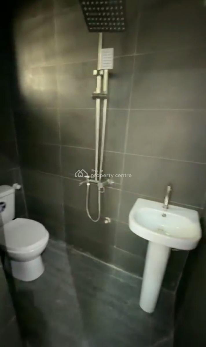 Newly Built, Spacious Standard Two Bedroom Apartment, Idi Araba, Surulere, Lagos, Flat / Apartment for Rent