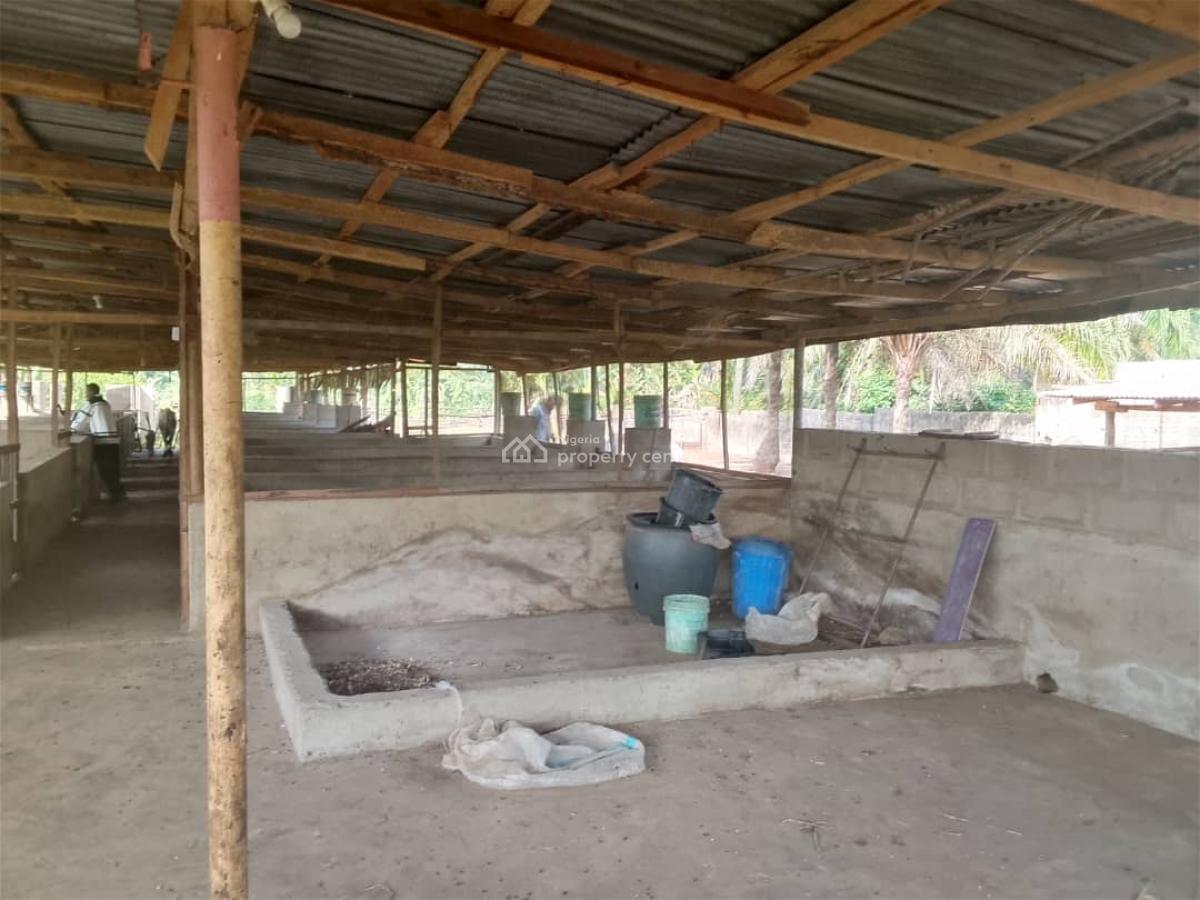 7 Acres Livestock Farm Land, Olojede Village Lagun Area Iyalan Ofa, Ibadan, Oyo, Commercial Land for Sale