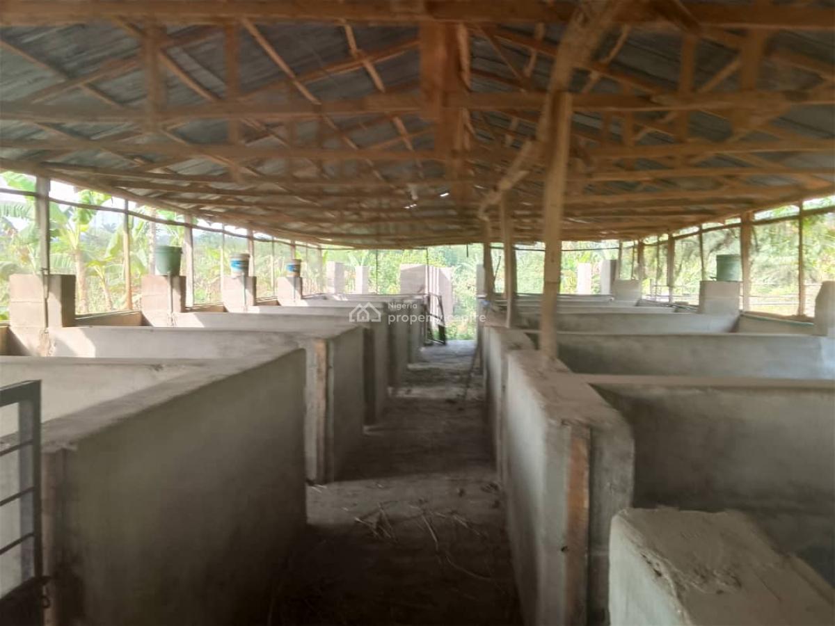 7 Acres Livestock Farm Land, Olojede Village Lagun Area Iyalan Ofa, Ibadan, Oyo, Commercial Land for Sale