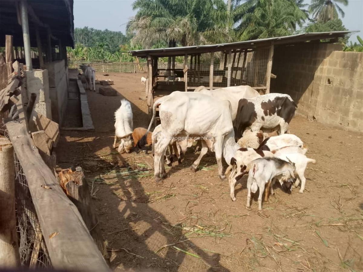 7 Acres Livestock Farm Land, Olojede Village Lagun Area Iyalan Ofa, Ibadan, Oyo, Commercial Land for Sale