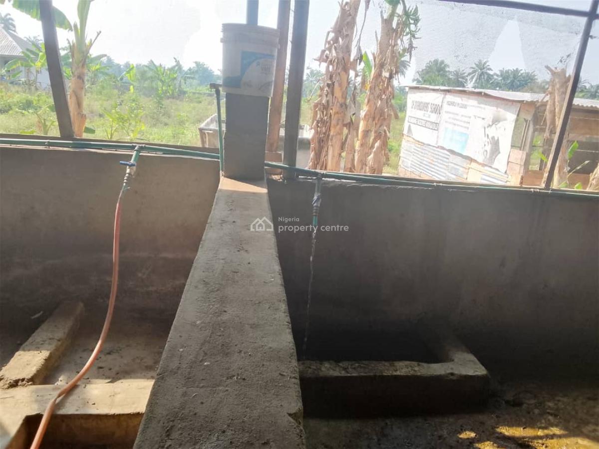 7 Acres Livestock Farm Land, Olojede Village Lagun Area Iyalan Ofa, Ibadan, Oyo, Commercial Land for Sale