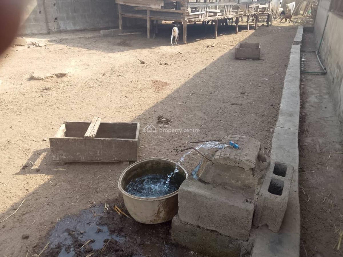 7 Acres Livestock Farm Land, Olojede Village Lagun Area Iyalan Ofa, Ibadan, Oyo, Commercial Land for Sale