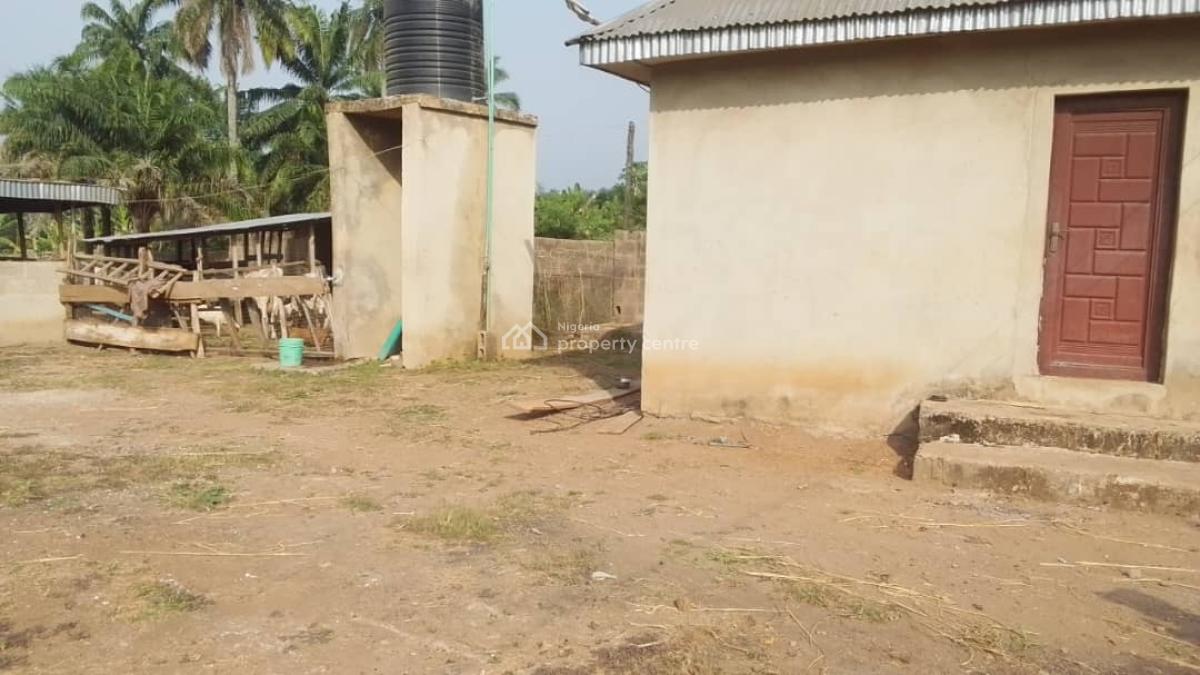 7 Acres Livestock Farm Land, Olojede Village Lagun Area Iyalan Ofa, Ibadan, Oyo, Commercial Land for Sale