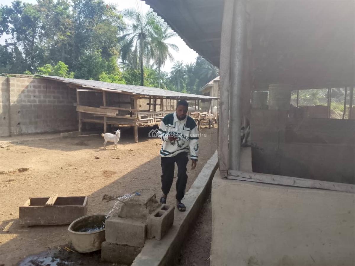 7 Acres Livestock Farm Land, Olojede Village Lagun Area Iyalan Ofa, Ibadan, Oyo, Commercial Land for Sale