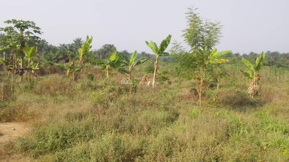 7 Acres Livestock Farm Land, Olojede Village Lagun Area Iyalan Ofa, Ibadan, Oyo, Commercial Land for Sale
