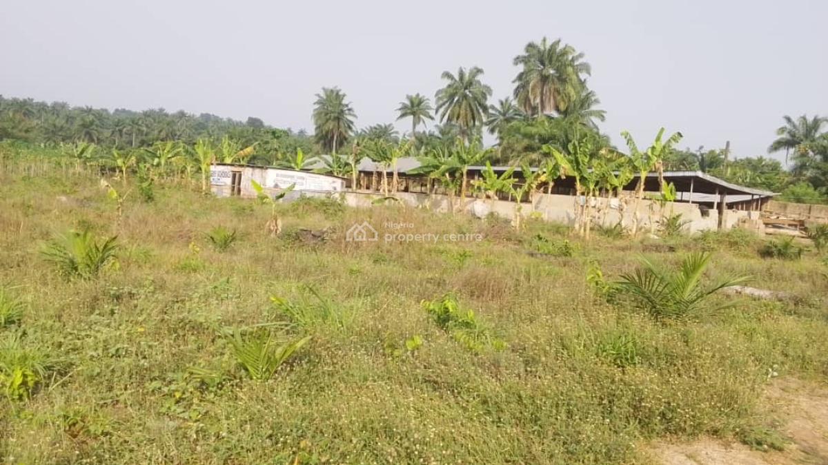 7 Acres Livestock Farm Land, Olojede Village Lagun Area Iyalan Ofa, Ibadan, Oyo, Commercial Land for Sale