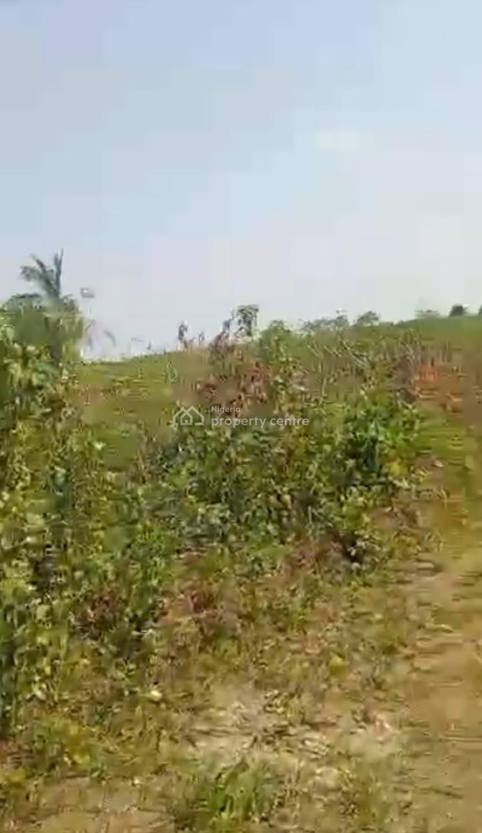 Distress 1 Acre of Land Measuring, Opposite St Augustine University Ibowon, Epe, Lagos, Mixed-use Land for Sale