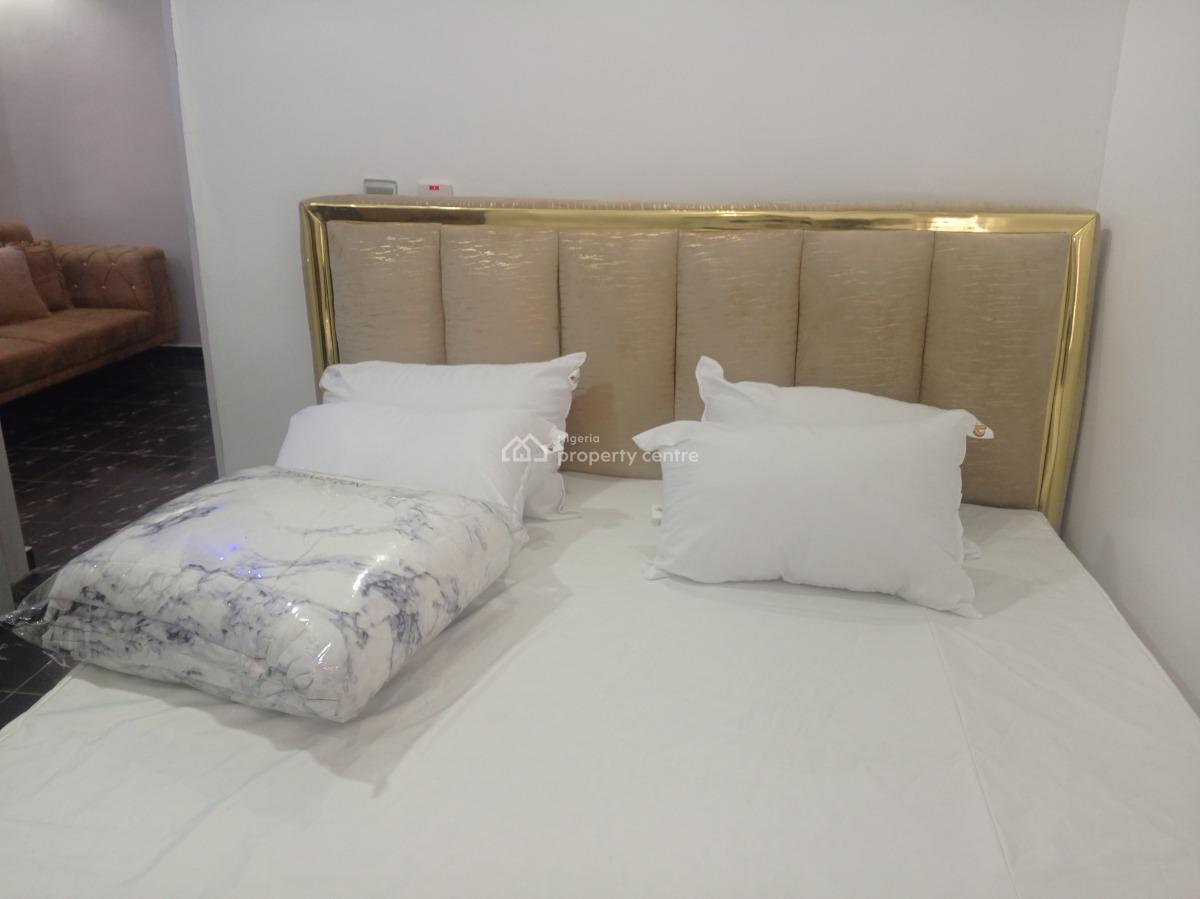 Beautiful Miniflat in a Very Serene Neighborhood, Off Adelabu Street, Surulere, Lagos, Mini Flat (room and Parlour) Short Let