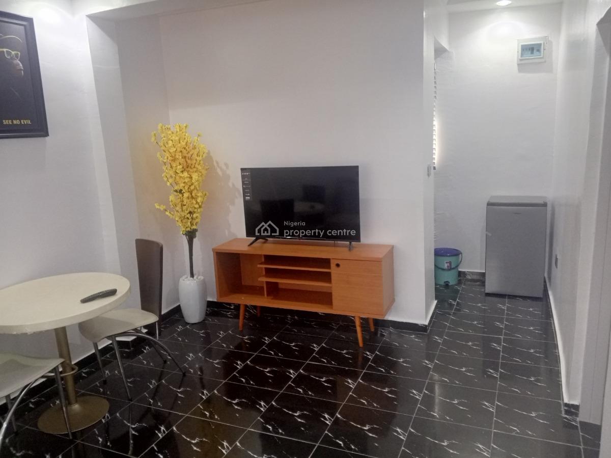 Beautiful Miniflat in a Very Serene Neighborhood, Off Adelabu Street, Surulere, Lagos, Mini Flat (room and Parlour) Short Let