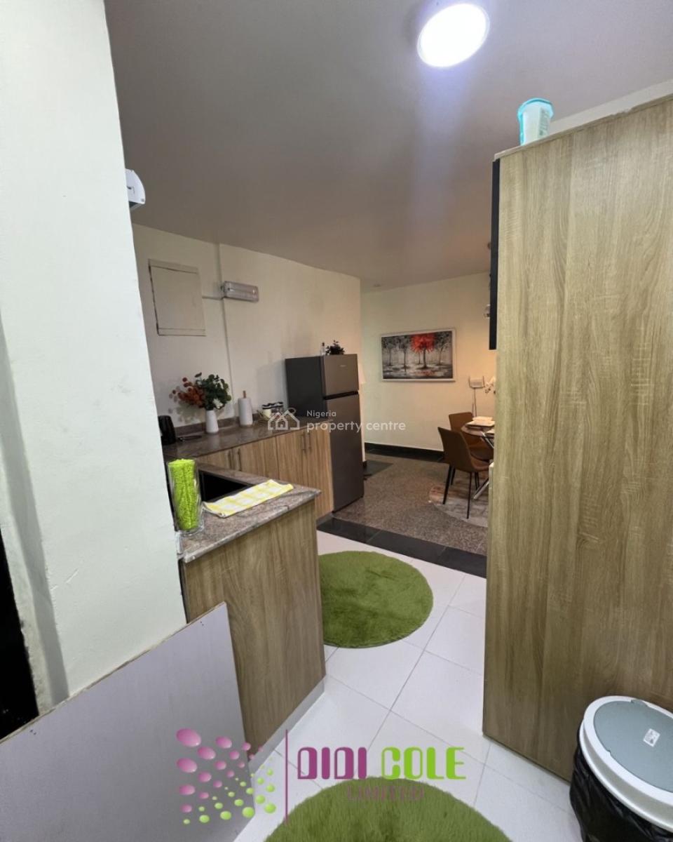 Fully Furnished 2 Bedroom Flat with Bq, Lekki Phase 1, Lekki, Lagos, Flat / Apartment for Rent