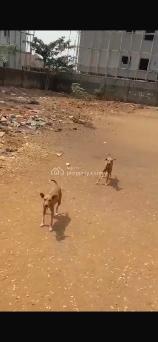 1200sqm, Residential, C of O, By Aduvie School, Jahi, Abuja, Residential Land for Sale